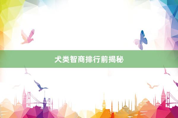 犬类智商排行前揭秘